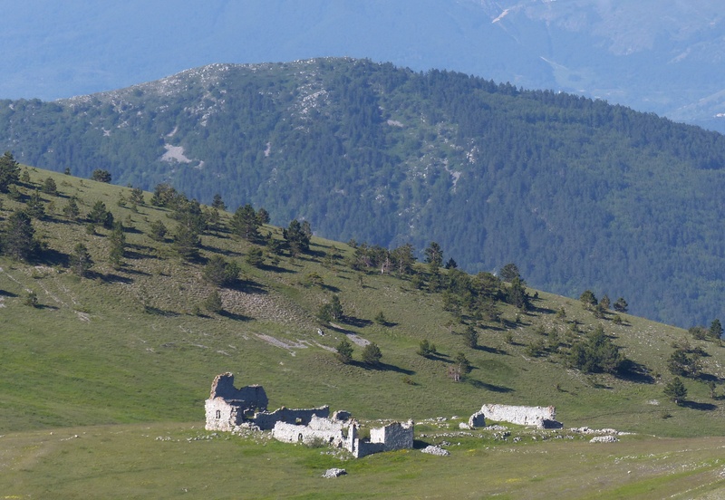 Orchidee a Campo Imperatore tra Medioevo e wilderness  primavera 2023